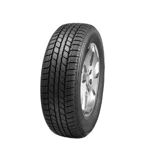 MINERVA WI S110 225/75 R16
